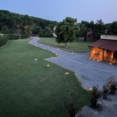 Modern House Surrounded By Nature Grabrov Potok Экстерьер фото